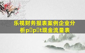 乐视财务报表案例企业分析p p t现金流量表